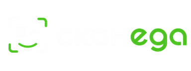 Русская версия логотипа Scaneda